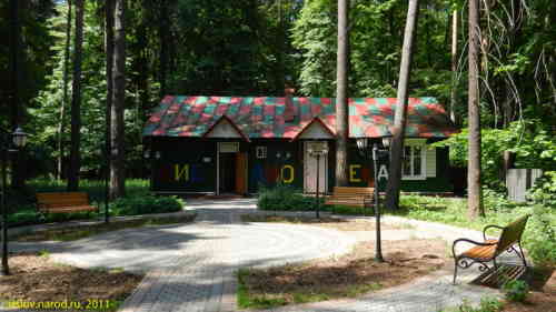 Чуковский К.И. (Дом музей в Переделкино). Библиотека