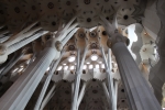 Барселона. Саграда Фамилия, Sagrada Família. Столбы в форме деревьев