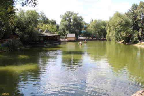 Лебединый пруд (Москва)