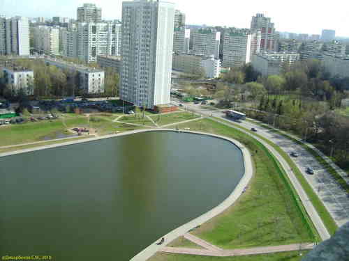 Коньковские пруды на Улице Введенского